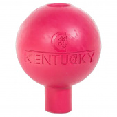 Rubber Ball Lead & Wall Protection Pink