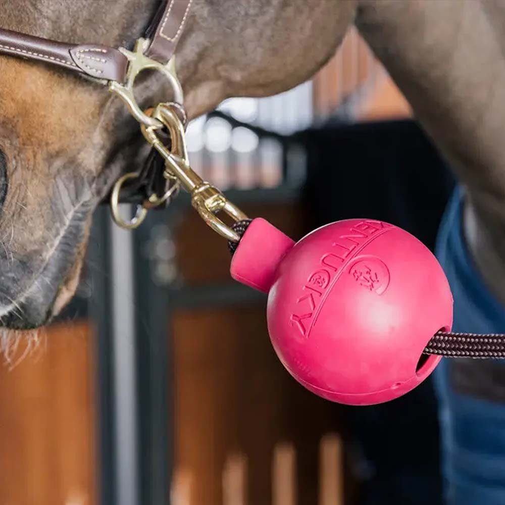 Rubber Ball Lead & Wall Protection Pink