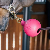 Rubber Ball Lead & Wall Protection Pink Rubber Ball Lead & Wall Protection Pink