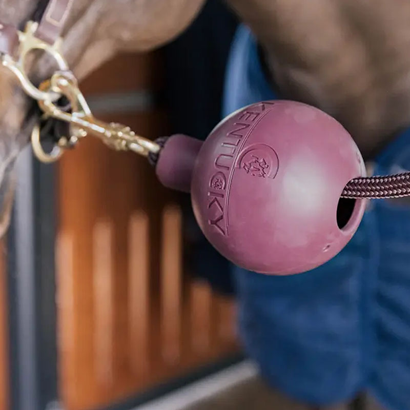 Rubber Ball Lead & Wall Protection Burgundy