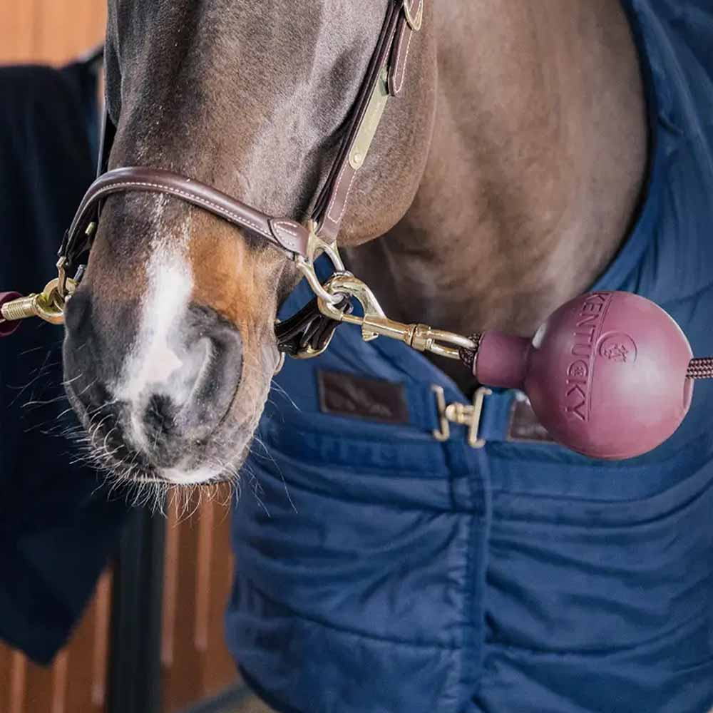 Rubber Ball Lead & Wall Protection Burgundy