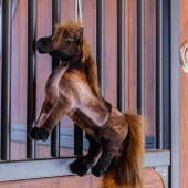 Horse Toy Relax Tableux Horse Toy Relax Tableux