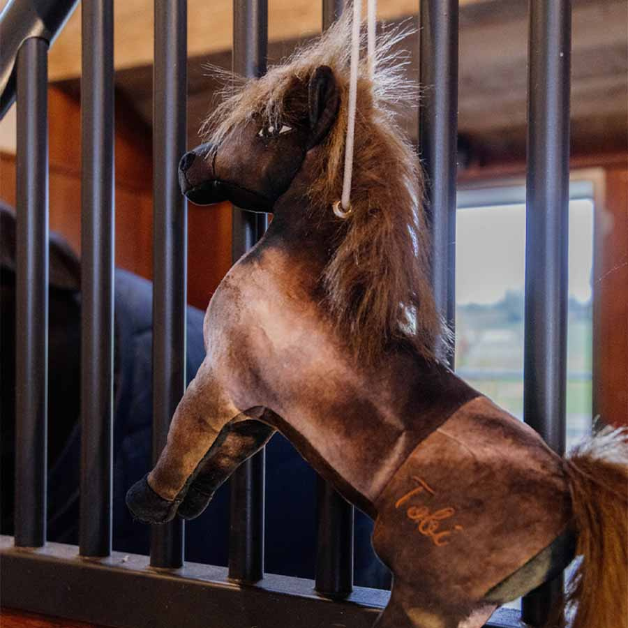 Horse Toy Relax Tableux