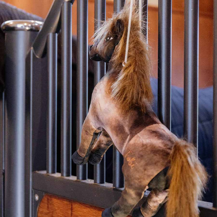 Horse Toy Relax Tableux