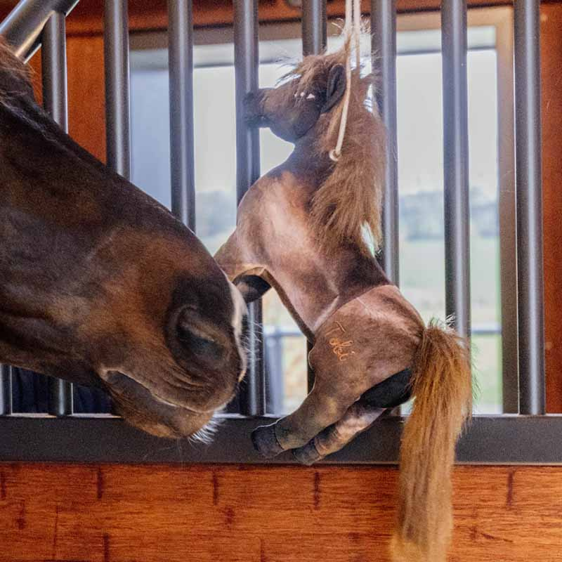 Horse Toy Relax Tableux