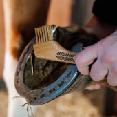 Hoof Pick Metal Bristle Hoof Pick Metal Bristle