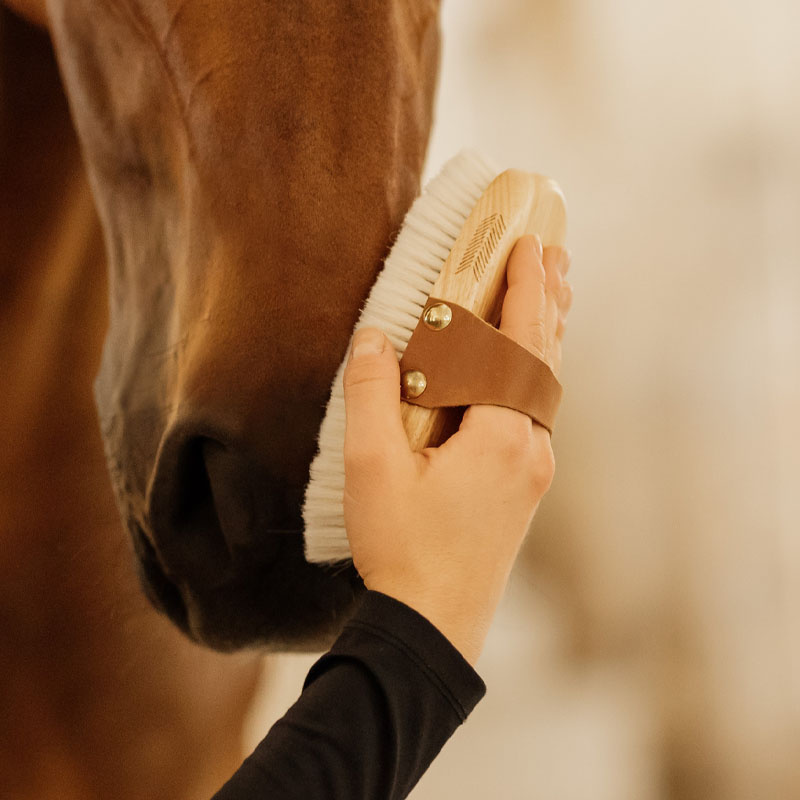 Grooming Brush Overall Soft