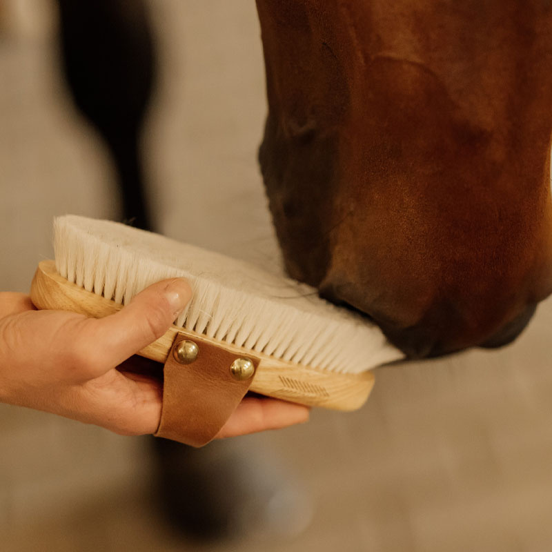 Grooming Brush Overall Soft