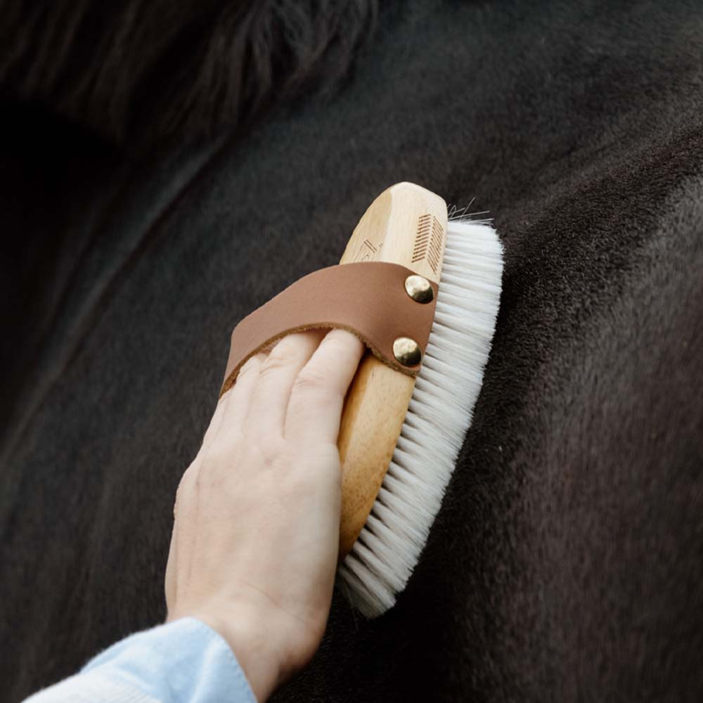 Grooming Brush Overall Soft