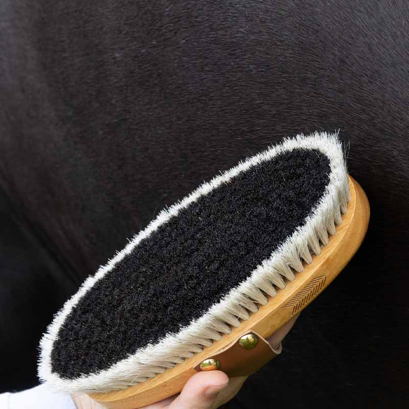 Grooming Brush Overall Shine