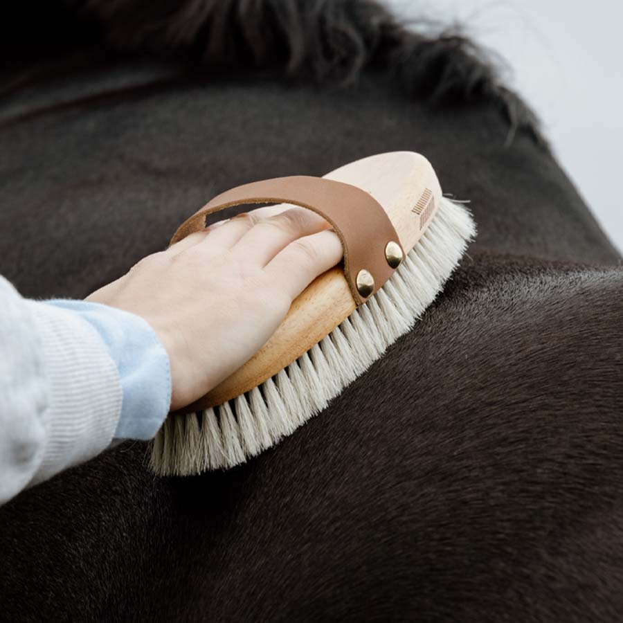 Grooming Brush Overall Shine