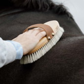 Grooming Brush Overall Shine Grooming Brush Overall Shine