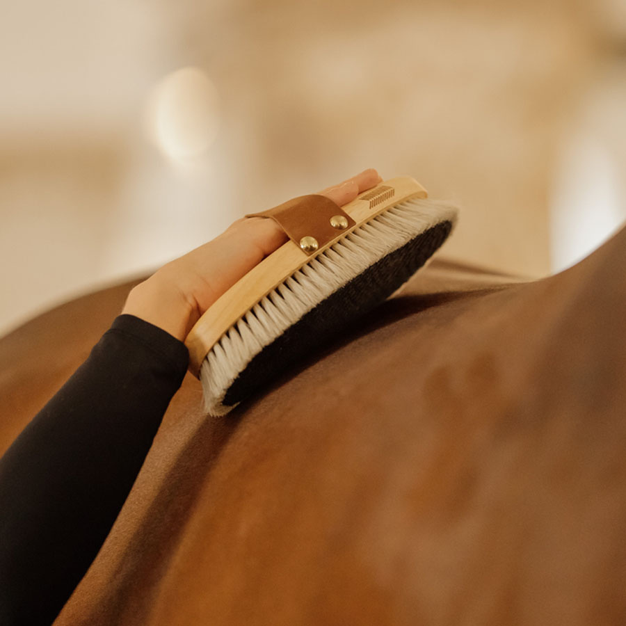 Grooming Brush Overall Shine