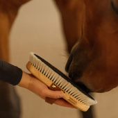 Grooming Brush Overall Shine Grooming Brush Overall Shine
