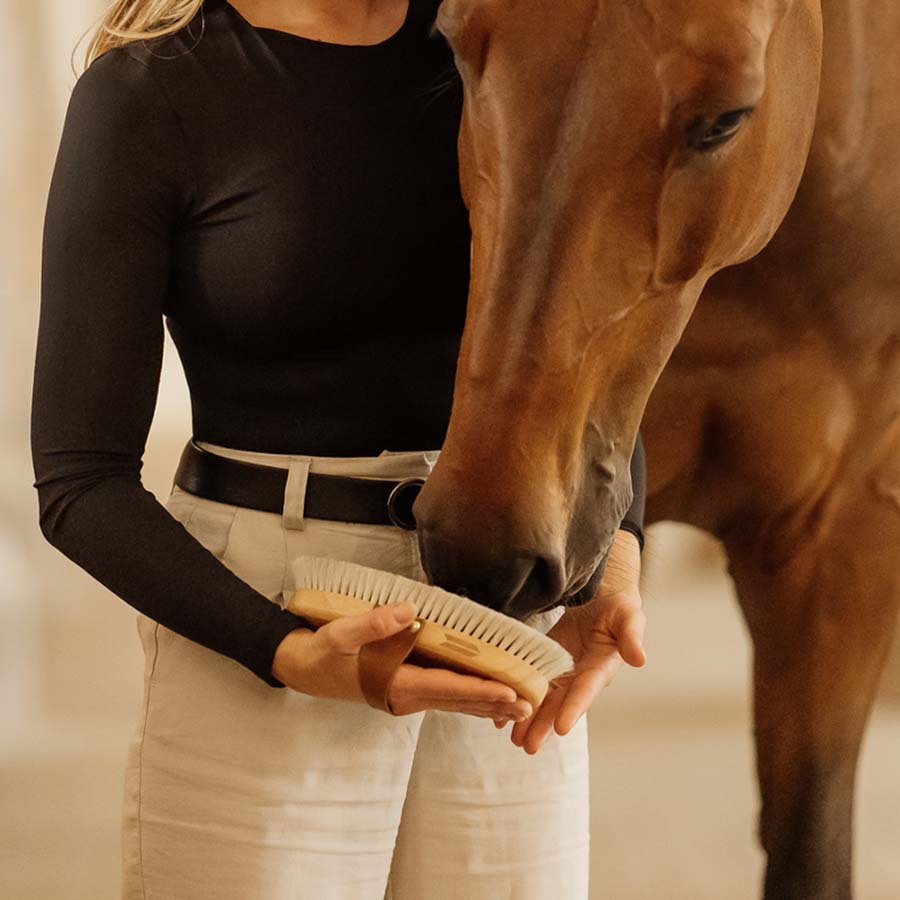 Grooming Brush Overall Shine