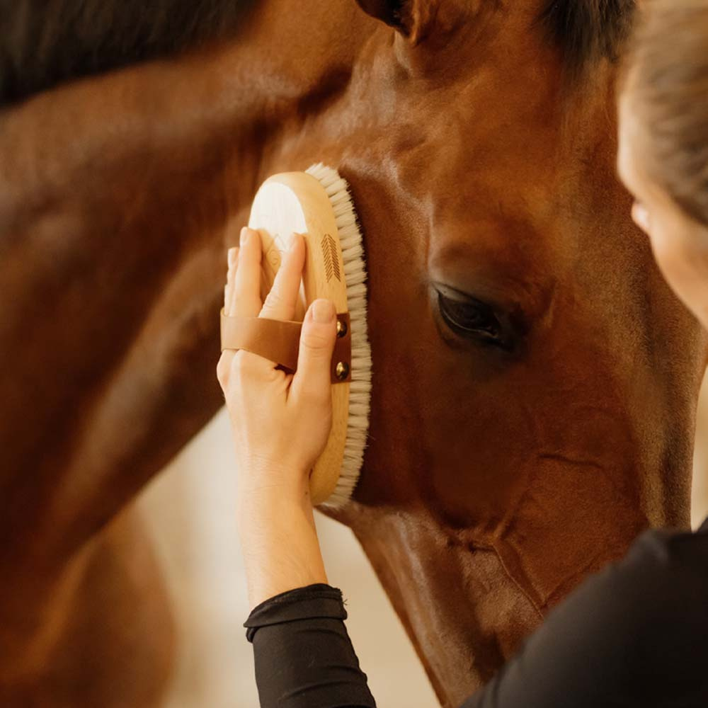 Grooming Brush Overall Soft Shine