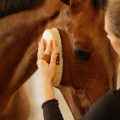 Grooming Brush Overall Soft Shine Grooming Brush Overall Soft Shine