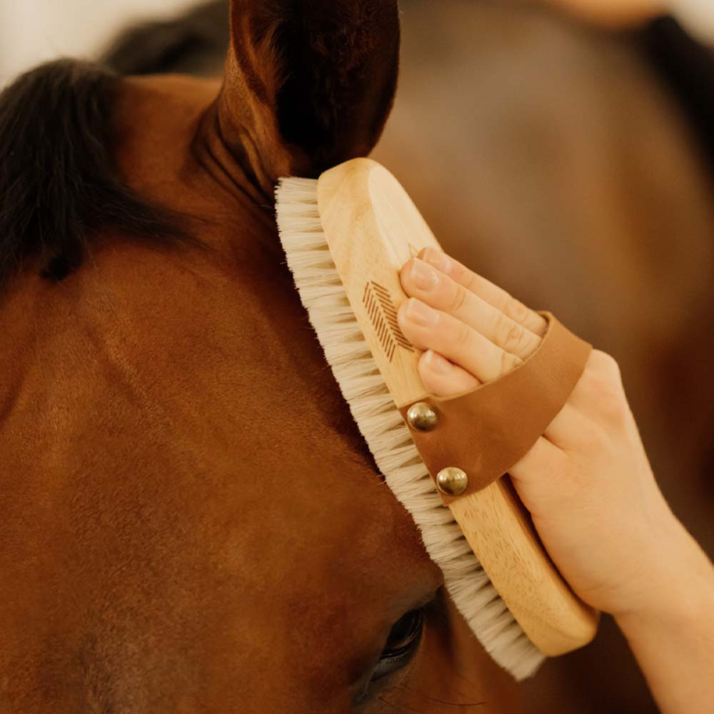 Grooming Brush Overall Soft Shine