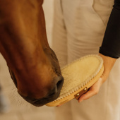 Grooming Brush Overall Soft Shine Grooming Brush Overall Soft Shine