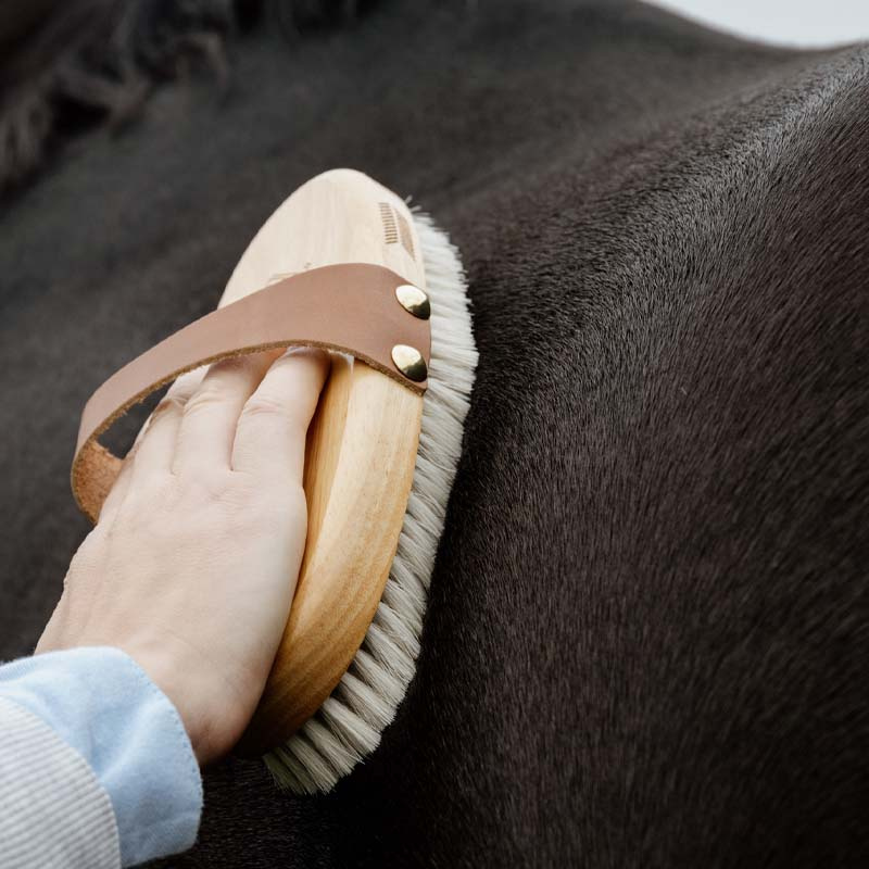 Grooming Brush Overall Soft Shine