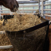 Hay Bag Corner Black Hay Bag Corner Black