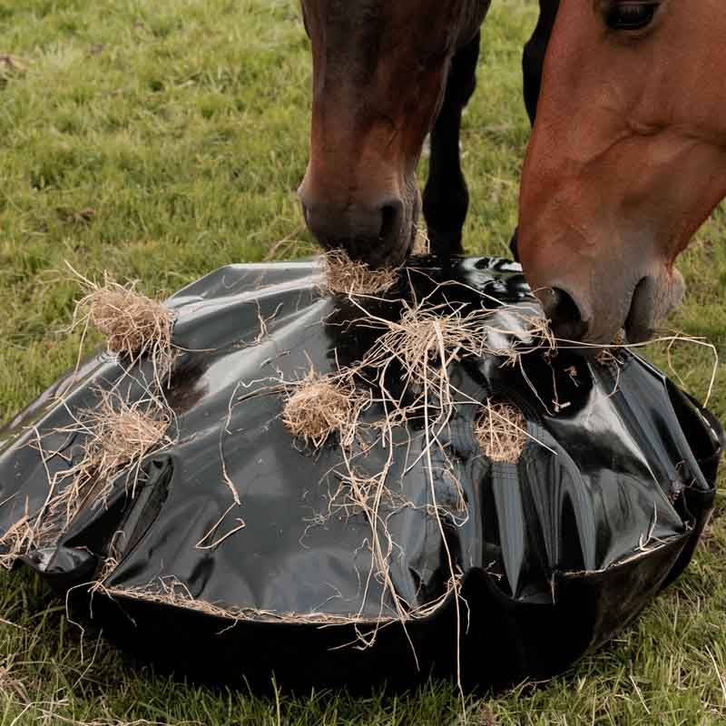 Hay Net Play & Haybag Slowfeeder Round Black
