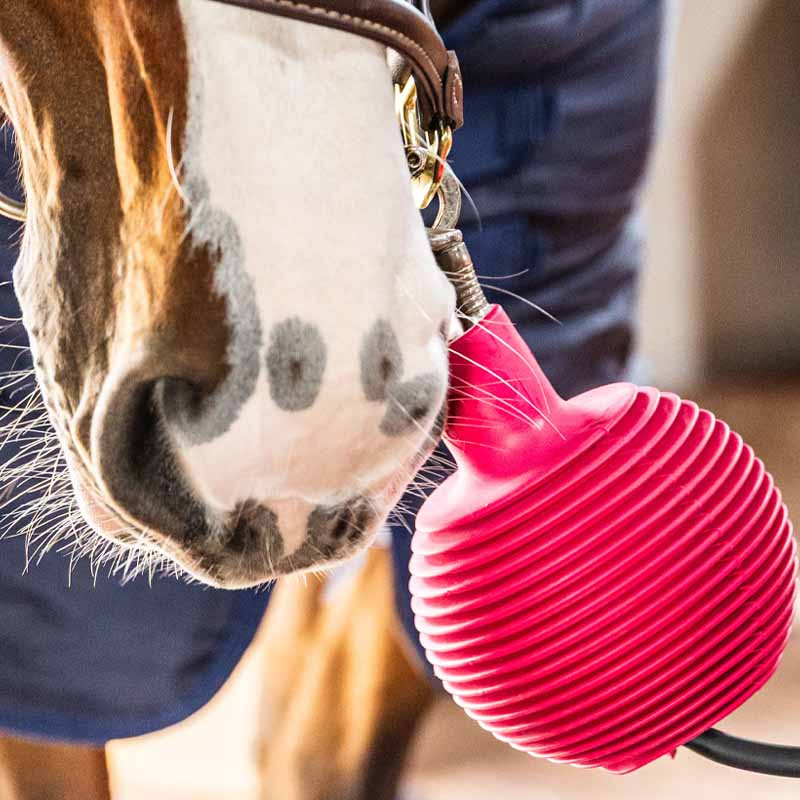 Protective Ball Lead & Wall Protection Rubber Pro Pink