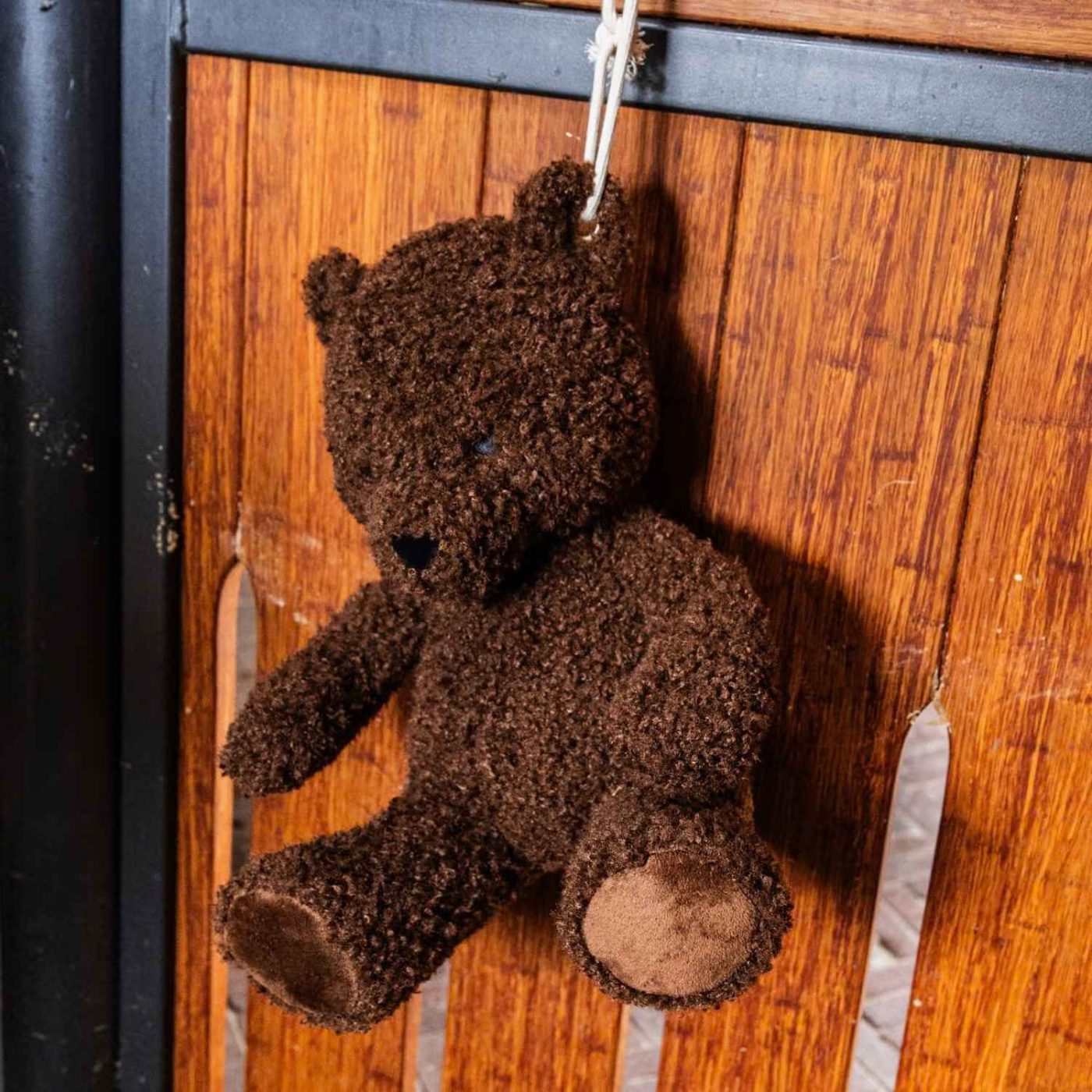 Relax Horse Toy Bear Brown