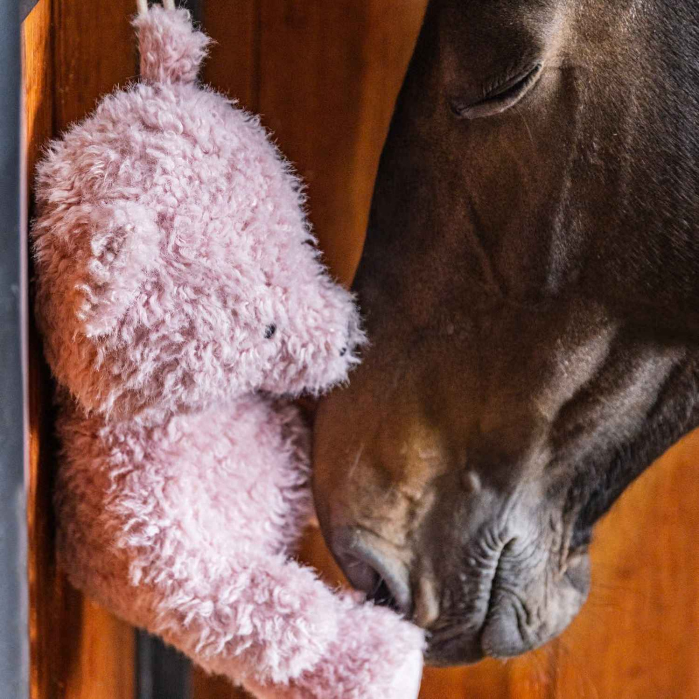 Relax Horse Toy Bear Pink