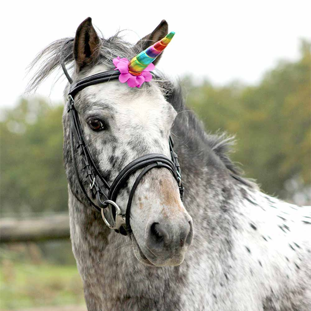 Unicorn Horn Rainbow