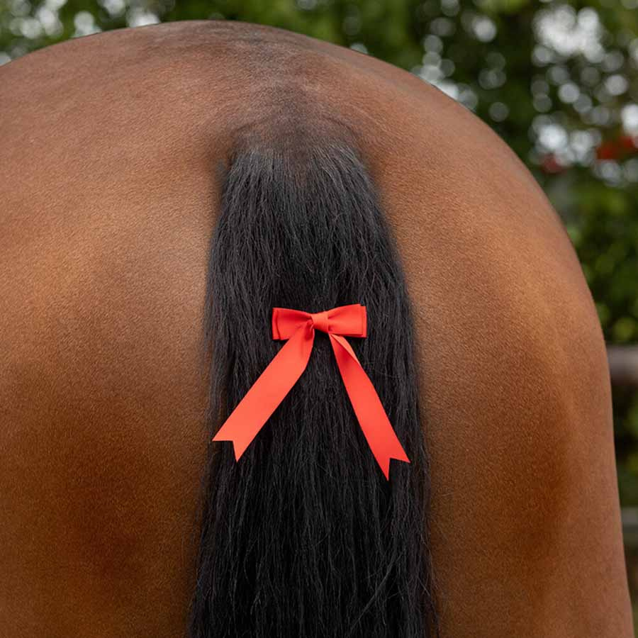 Tail Ribbon Red