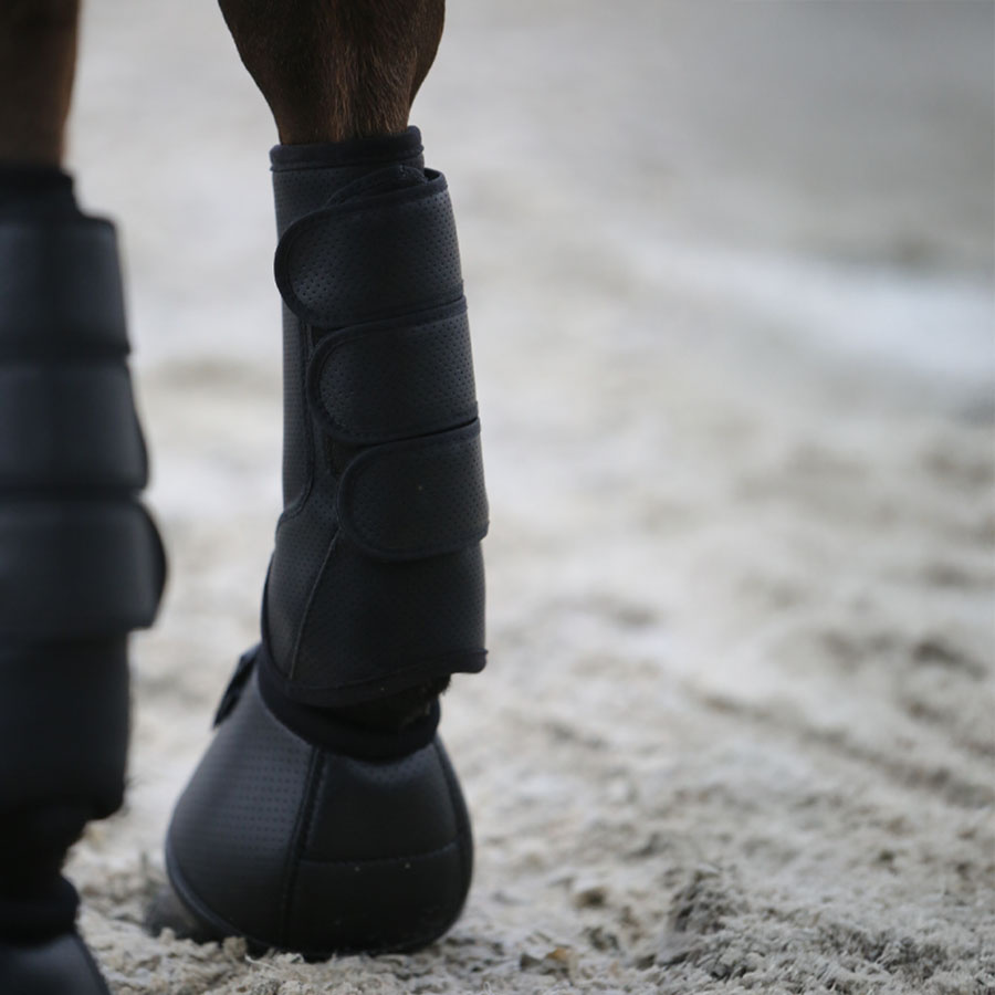 Leg Protection Eventing Air Tech Front Black