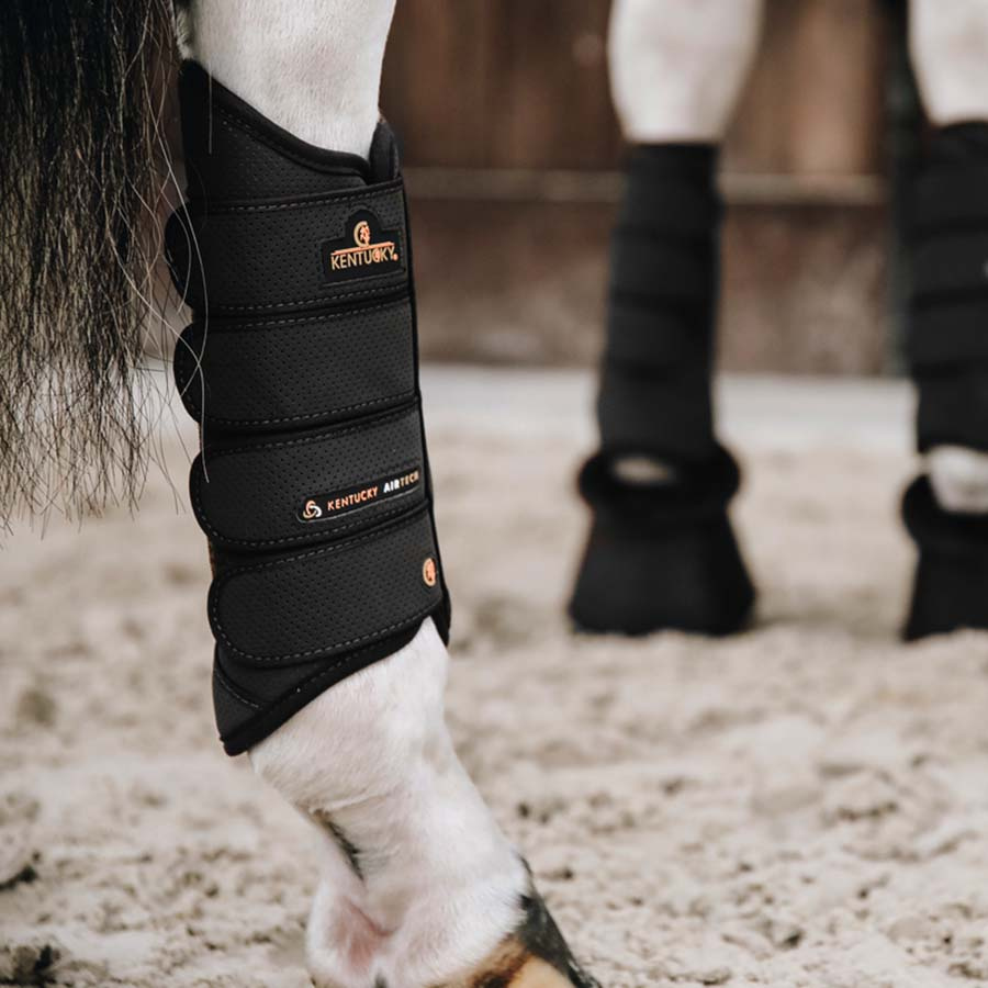 Leg Protection Eventing Air Tech Hind Black