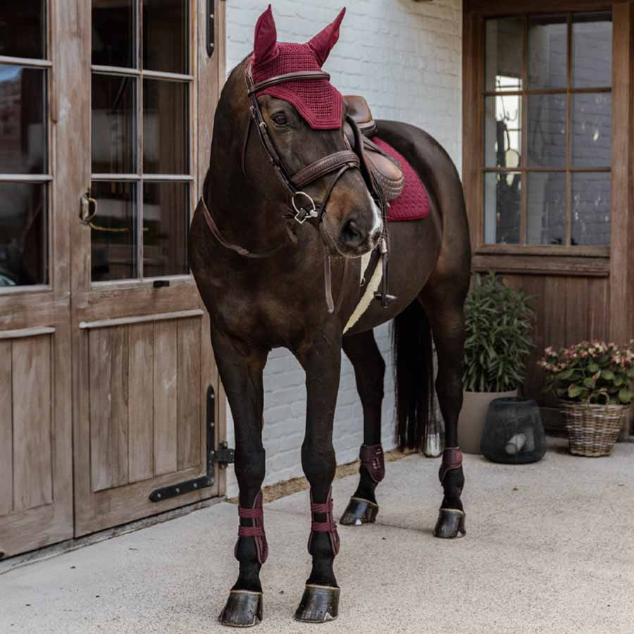 Tendon Boots Bamboo Elastic Bordeaux