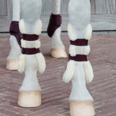 Tendon Boots Vegan Sheepskin Bamboo Elastic Bordeaux Tendon Boots Vegan Sheepskin Bamboo Elastic Bordeaux