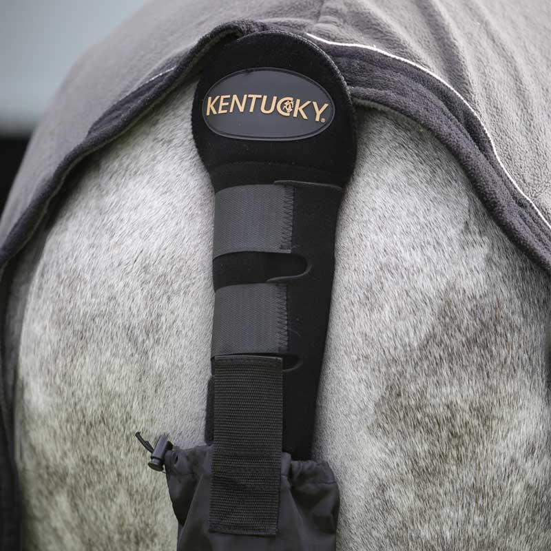 Tail Guard with Bag Black