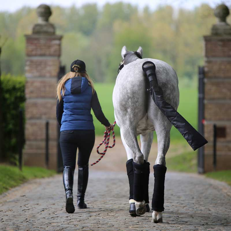 Tail Guard with Bag Black