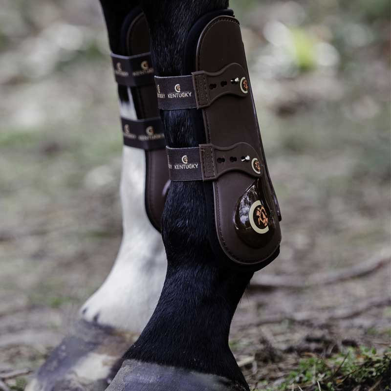 Tendon Boots Elastic Brown