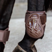 Young Horse Fetlock Boots Shield Brown