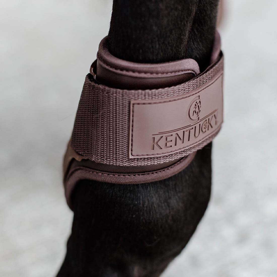 Young Horse Fetlock Boots Shield Brown