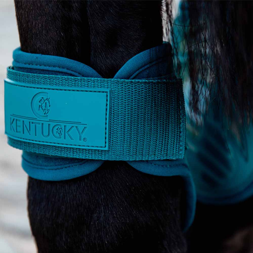 Young Horse Fetlock Boots Shield Emerald Green