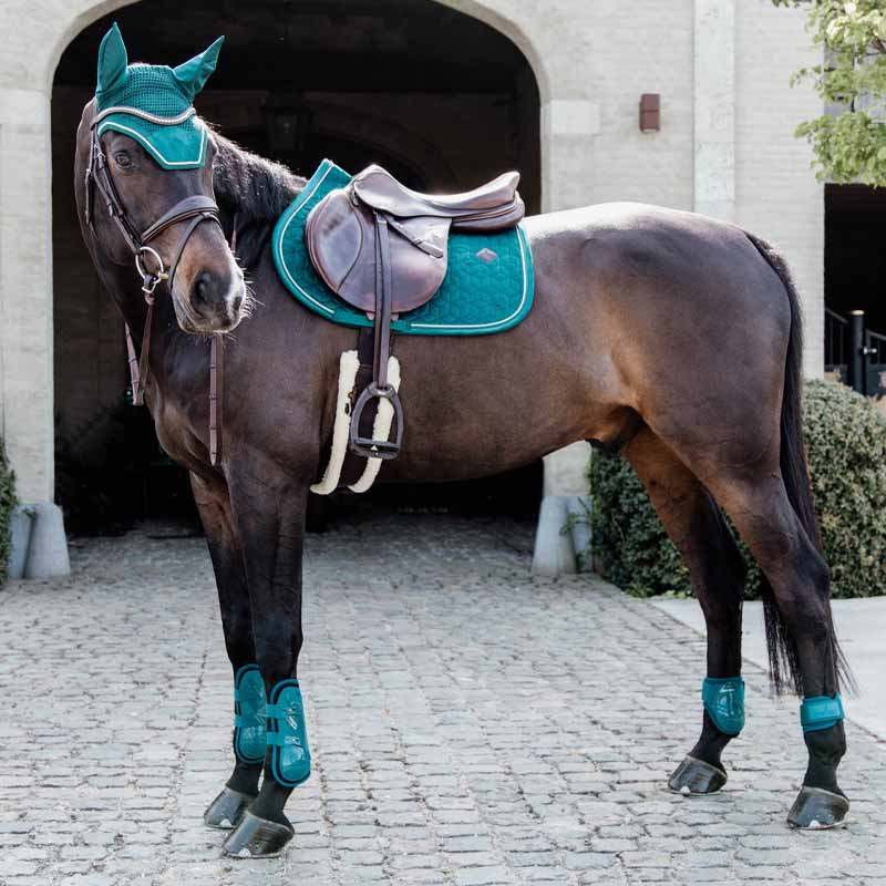 Young Horse Fetlock Boots Shield Emerald Green