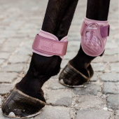 Young Horse Tendon Boots Shield Pink Young Horse Tendon Boots Shield Pink