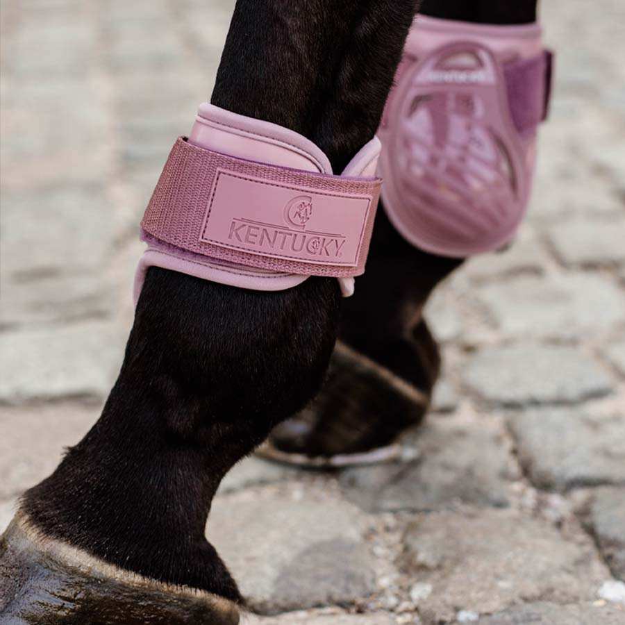 Young Horse Tendon Boots Shield Pink