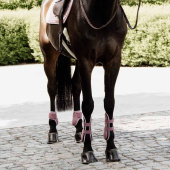 Young Horse Tendon Boots Shield Pink Young Horse Tendon Boots Shield Pink