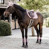 Young Horse Tendon Boots Shield Pink Young Horse Tendon Boots Shield Pink