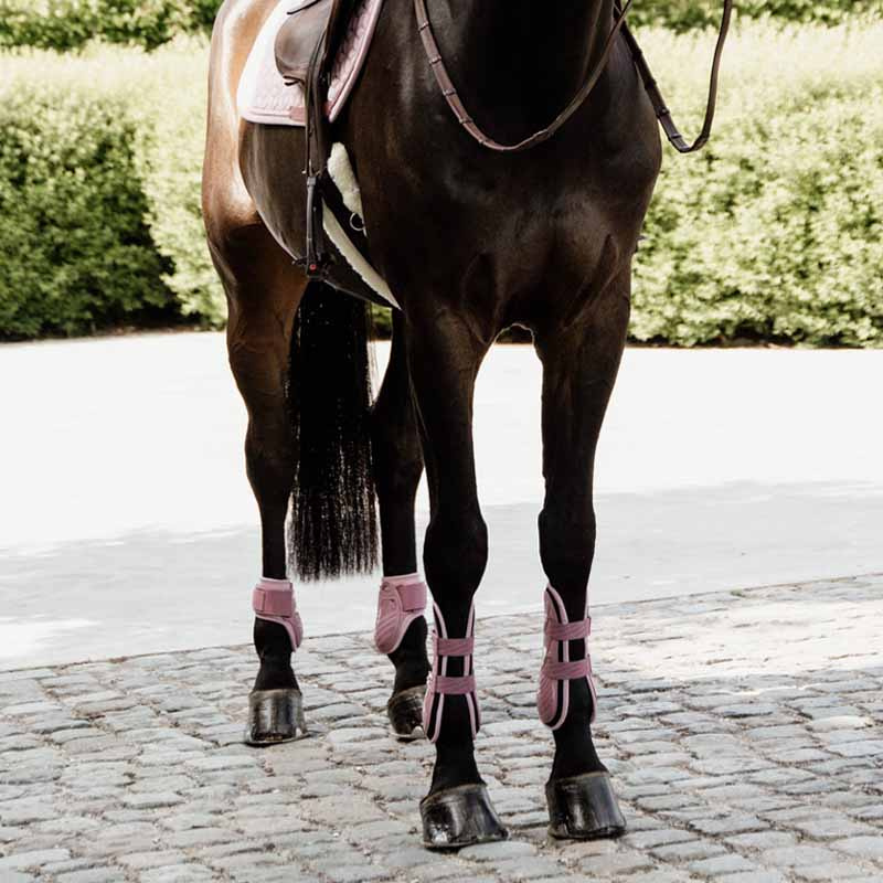 Young Horse Tendon Boots Shield Pink