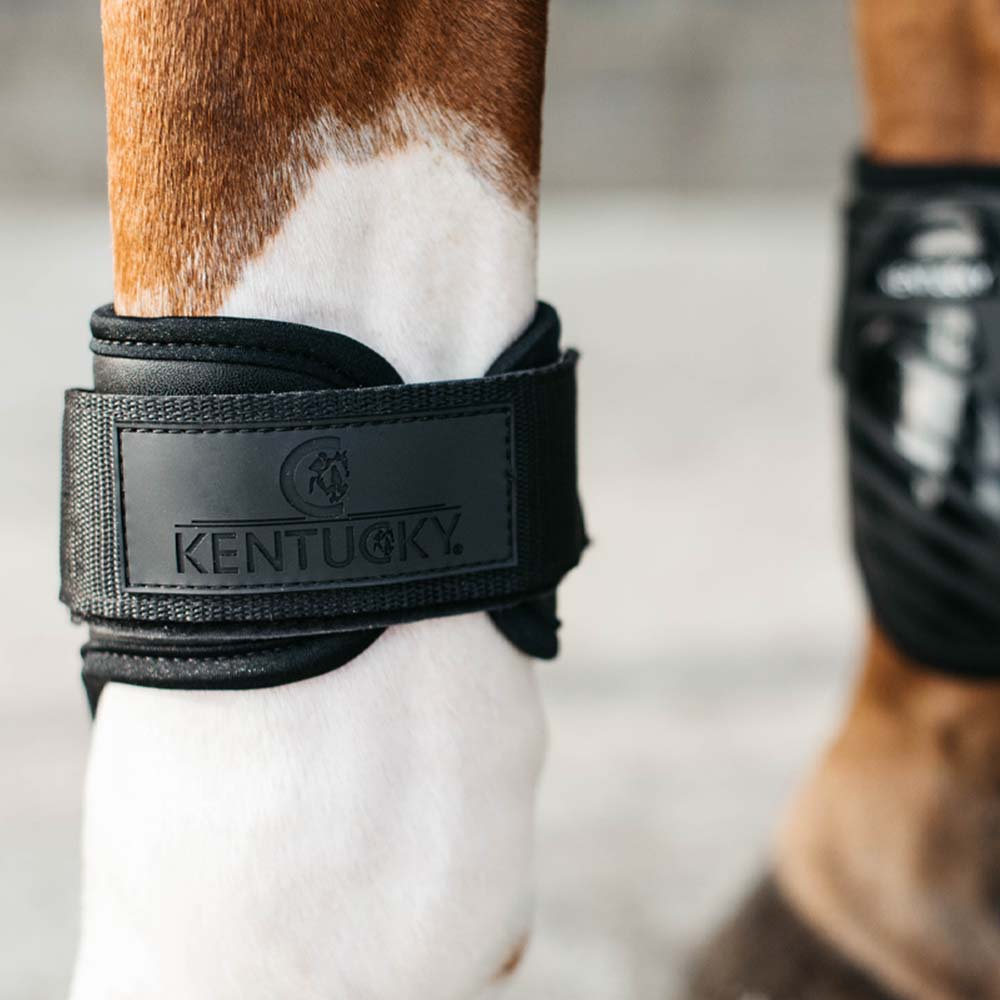 Young Horse Fetlock Boots Shield Black