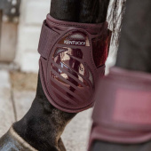 Fetlock Boots Young Bordeaux Fetlock Boots Young Bordeaux