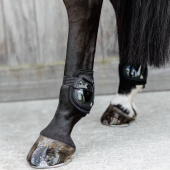 Fetlock Boots Moon Air Black Fetlock Boots Moon Air Black